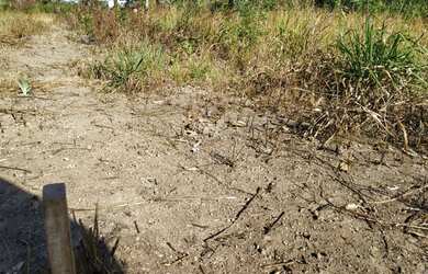 Imagem 3: Lote em Luiz Alves - Rio Araguaia