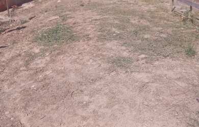 Imagem 3: Vendo área 19.000. 