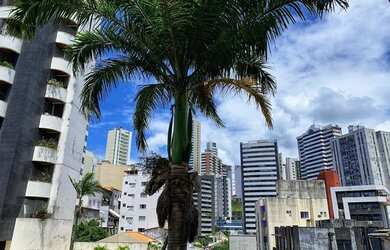 Imagem 12: Apartamento à venda, 3 quartos, 1 suíte, Graça - Salvador/BA