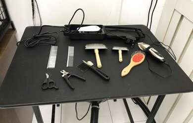 Imagem 3: Petshop banho e tosa. 30m² de Áreae1 Vaga na garagem