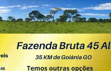 Imagem 1: Fazenda 45 Alq Aragoiania Bruta rica em Água