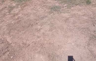 Imagem 4: Vendo área 19.000. 