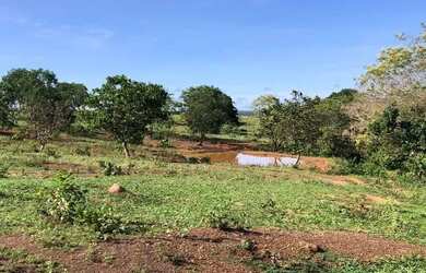 Imagem 2: Otima fazenda a venda. 