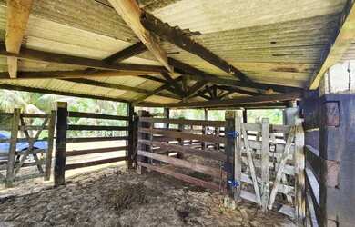 Imagem 4: Vendo fazenda em Ubatã. Imóvel novoe780.000m² de Área