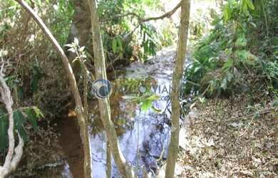 Imagem 5: Fazenda de agricultura orgânica, onde se produz excelente café reconhecido...