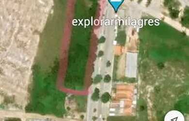 Imagem 6: Terreno Sao Miguel do Milagres Escritura R$18.000