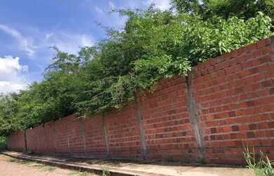 Imagem: O terreno está localizado em Itararé, Teresina à venda por