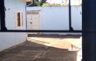 Imagem: A casa possui 3 Dormitórios, 2 Banheiros, 5 Vagas na garagem