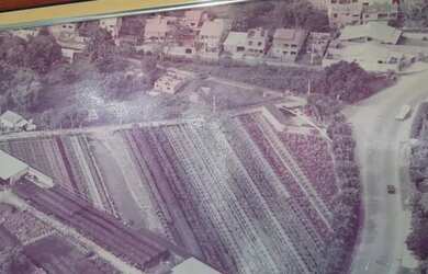 Imagem: O terreno possui 9000m² de Área e está localizado em Campo