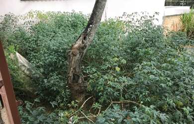 Imagem 6: Lote bairro Sion - Conselheiro Lafaiete 300m²