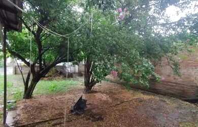 Imagem 11: SAO LEOPOLDO - LOJA - SCHARLAU