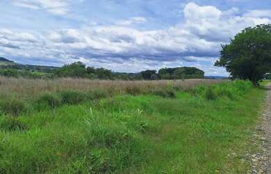 Imagem 6: Area Rural 15,5 Hectares Castelo Branco /Poranga/SP