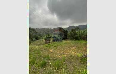 Imagem 14: Terreno urbano 460m² - Rio Novo do Sul