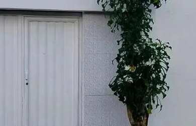 Imagem: A casa possui 2 Dormitórios, 1 Banheiro, 1 Vaga na garagem