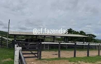 Imagem 3: Fazenda à venda em Goiás-Go