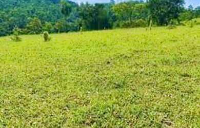 Imagem 7: Lote/Terreno para venda tem 500 metros quadrados em Centro - Atibaia -...