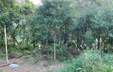 Imagem: O terreno possui 250m² de Área e está localizado em Parque