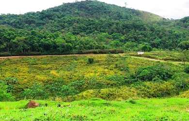 Imagem 12: Lote/Terreno para venda possui 1000 metros quadrados em Vila Santista...