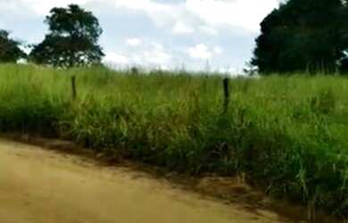 Imagem: A fazenda está localizado em Resplendor, MG à venda por