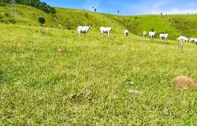 Imagem 4: 32R-Lote/Terreno para venda possui 500 metros quadrados em Jardim Brasil...