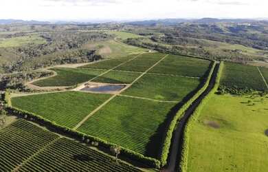Imagem: A fazenda possui 1000m² de Área e está localizado em Barra