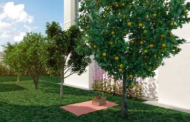 Imagem 6: SãO PAULO - Apartamento Padrão - Itaquera