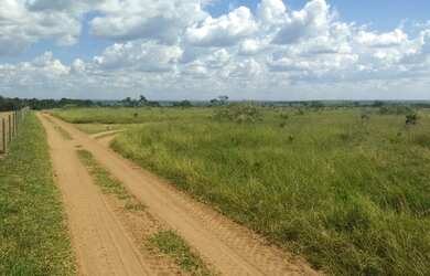 Imagem 6: Fazenda plana Fazenda / sítio com venda por R$5.250.000
