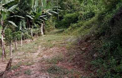 Imagem: O terreno possui 26.000m² de Área e está localizado em Monza