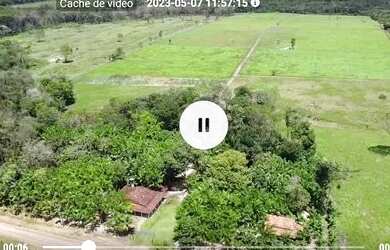 Imagem 6: 25 Hectares porteira fechada por 600 mil reais ha 40 km de Castanhal