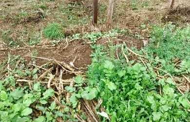 Imagem 3: VENDO TERRENO. 360m² de Área