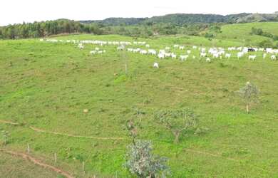Imagem: A fazenda possui 82m² de Área e está localizado em Abadiânia