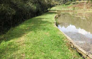 Imagem 13: Vendo chácara de 3,6 hectares na localidade da boca da serra