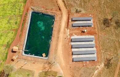 Imagem 11: Fazenda Recanto da Sucupira-Gleba 06 em Paracatu-MG - 125 Hectares R$...