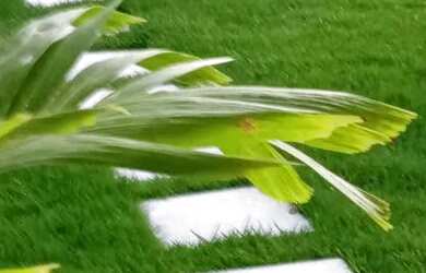 Imagem 9: Casa para alugar Ano Novo