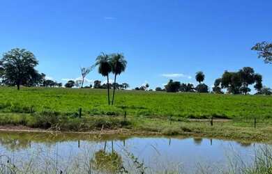 Imagem 3: Fazenda com 1.433 Hectares - IACIARA - GO -R$. 42 Milhões