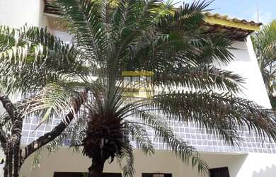 Imagem 4: Salvador - Casa Padrão - Praia do Flamengo