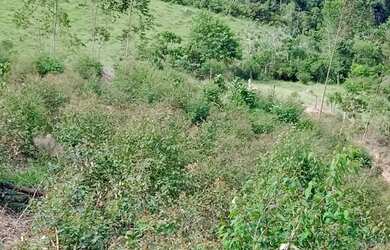 Imagem 16: Vendo lote em Igaratá, com acesso a represa pagamento facilitado