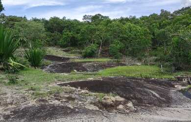 Imagem 5: Chácara 2500m², Córrego, Energia na Porta, Local muito Agradavel- Guapo