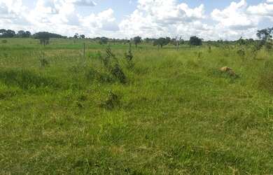 Imagem 1: Fazenda plana Fazenda / sítio com venda por R$5.250.000