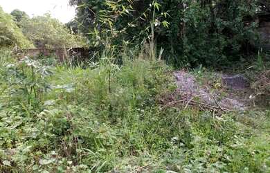 Imagem: O terreno e está localizado em Jardim Paulista, Paulista à