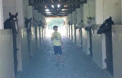 Imagem 9: Terreno/ Lote no condomínio fechado Fazenda Real com 928m2 Aceito permuta