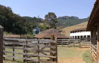 Imagem 4: Fazenda de agricultura orgânica, onde se produz excelente café reconhecido...