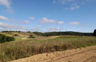 Imagem 6: Lote/Terreno para venda com 500 metros quadrados em Jardim Japão Caucaia...