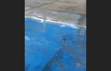 Imagem 5: Galpão/Depósito/Armazém para aluguel e venda com 12000 metros quadrados