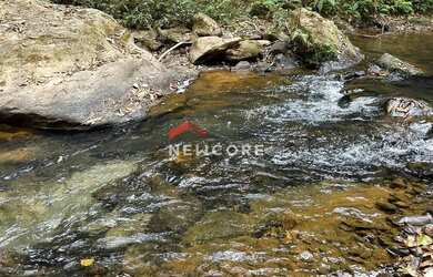 Imagem: A fazenda possui 5000m² de Área e está localizado em Área