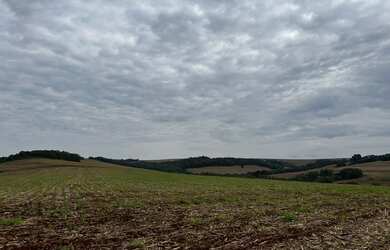 Imagem 4: Sítio de 8 alqueires na colônia nova