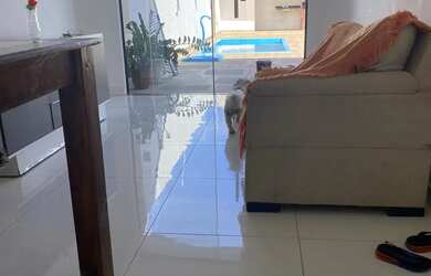 Imagem 4: Aluga-se casa apenas para temporada