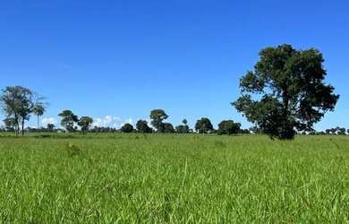 Imagem 8: Fazenda com 1.433 Hectares - IACIARA - GO -R$. 42 Milhões