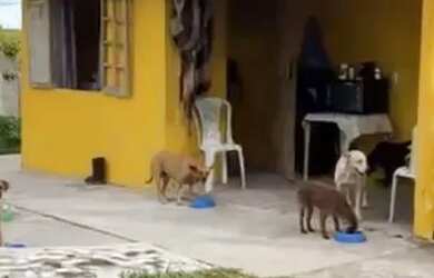 Imagem 9: Vendo ou troco por imóvel