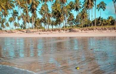 Imagem 4: Resort na Beira Mar de Carneiros com 2 qts e 65m² Cadastre-se! (81)9.8841.9885